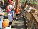 Kids_DZoo (6)